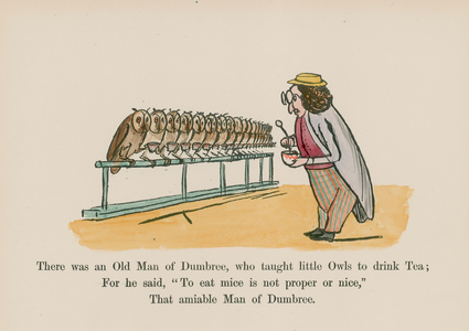 There was an Old Man of Dumbree, who taught little Owls to drink Tea (coloured engraving)