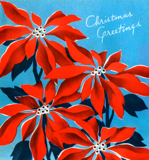 Vintage Illustration of Christmas Poinsettias, c.1940s-50s (screenprint)