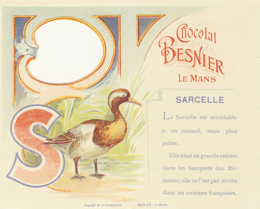 Capital S and description of the Teal, 1,890 (chromolithography)