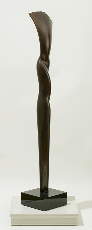 Falling Water, Santa Cruz XXVII, 2001 (bronze)