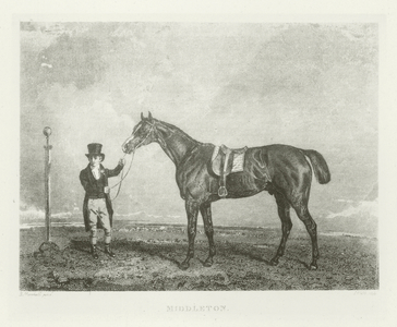 Middleton, foaled 1822 (b/w photo)