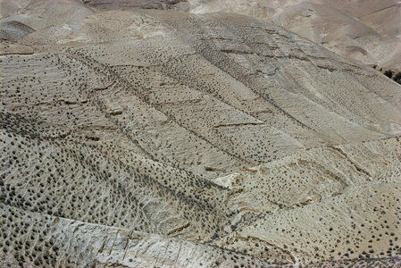 The desert of Judah, Israel, Israel (photo)