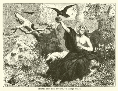 Elijah and the Ravens, I, Kings, xvii, 6 (engraving)