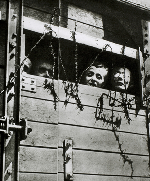 Prisoners Being Transported to Auchwitz, Poland, 1944