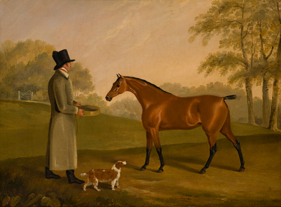 A Horse in a Landscape with the Groom, David, Bennet, c.1805 (oil on canvas)