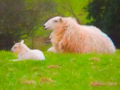 Contentment, 2018, (manipulated photography)