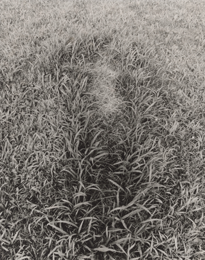 Untitled, from the series Silueta Works in Iowa, 1978 (gelatin silver print)