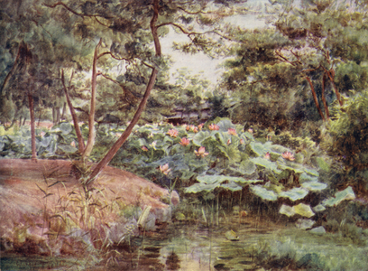 Pine and Pink Lotuses at Kofu (colour litho)