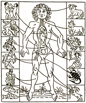 The man of the zodiac, 1702 (engraving)