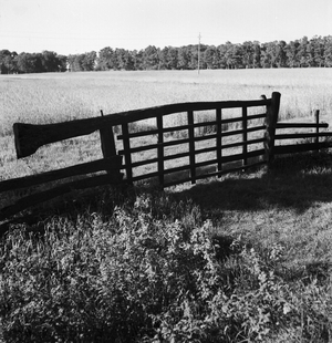 The moor landscape near Worpswede, Germany 1930s (b/w photo)