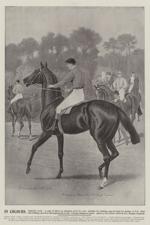 Advertisement, Elliman, Sons and Company (engraving)