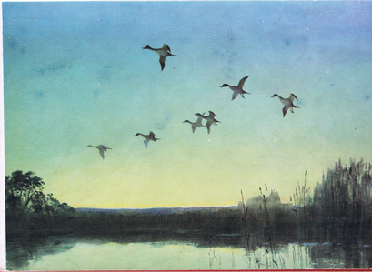 The night patrol (colour litho)