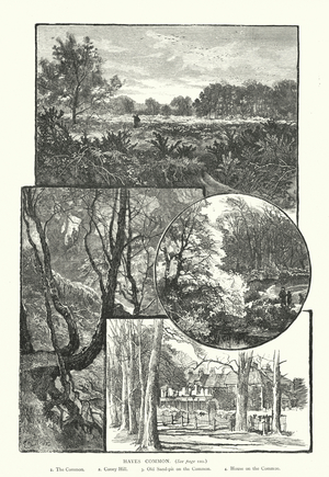 Hayes Common (engraving)