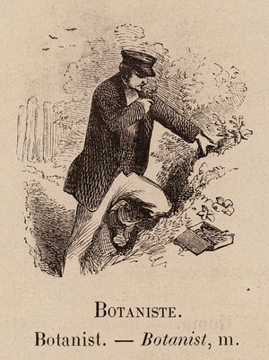 Le Vocabulaire Illustre: Botaniste; Botanist (engraving)