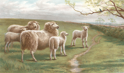 A Song of Spring (chromolitho)