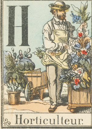 H : Horticulteur 