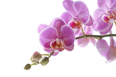 Reach out, 2017 (photo)