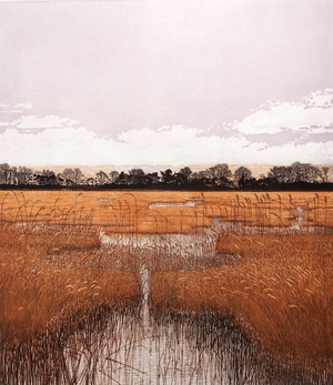 Marsh Waters, 1983 (etching and aquatint)