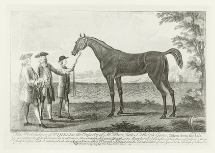 Othello, foaled 1743 (b/w photo)