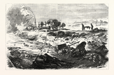Franco-Prussian War: Field of the Battle of Sedan in the Evening of September 1 1870
