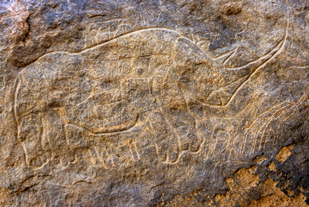 Rock engraving depicting an rhinoceros - Tassili n'Ajjer, Tadart Rouge, Tassili n'Ajjer, Algeria, 2000 (photo)