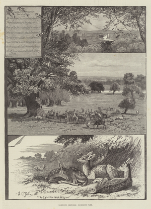 Rambling Sketches, Richmond Park (engraving)
