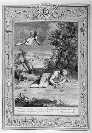In Greek mythology, Narcissus transforms into a flower, 1615 (engraving), 1615 (engraving)