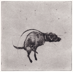 Public Life, 2005 (drypoint)