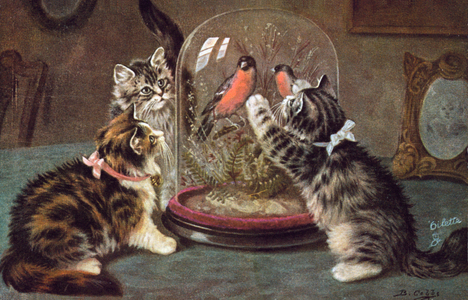 Cat postcard (colour litho)