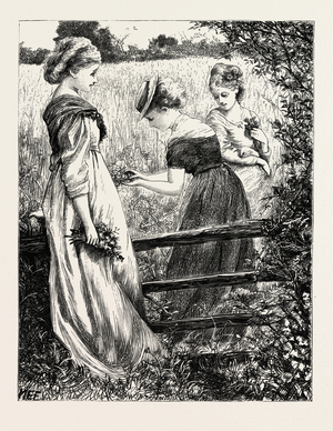 Gems of the Changing Autumn, How Beautiful Ye Are! Shining from Your Glossy Stems Like Many a Golden Star.