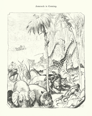 Jamrach is Coming (engraving)