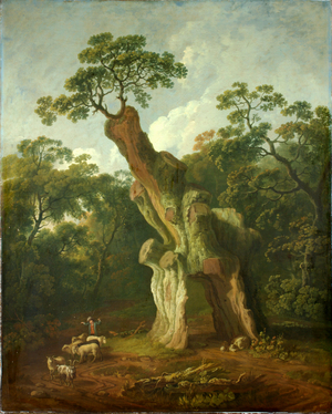 View of the Greendale Oak in Welbeck Park (oil on canvas)