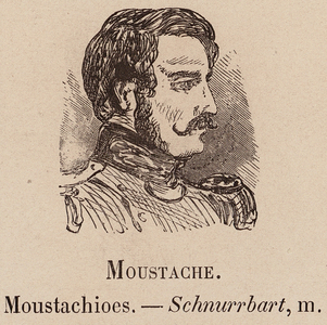 Le Vocabulaire Illustre: Moustache; Moustachioes; Schnurrbart (engraving)