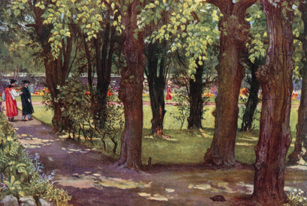 Oxford Gardens: The Lime Walk, Trinity (colour litho)