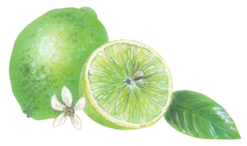 Lime