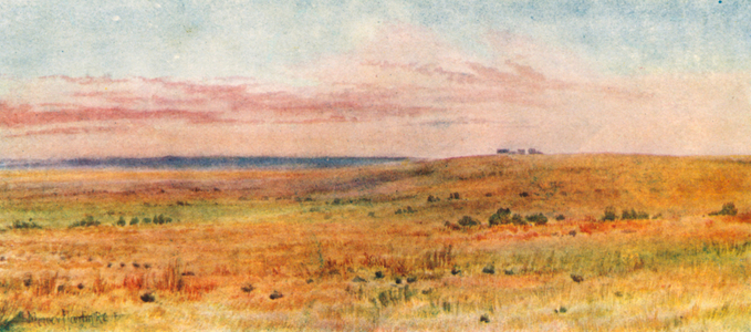 Out on the Prairies (colour litho)