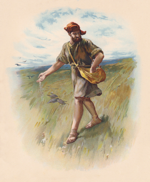 The Sower (colour litho)