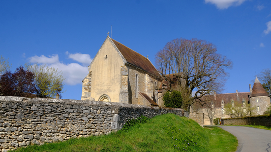 Lys Saint Georges, Loire, France, 2023  (photo)
