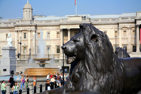 Lion and National Gallery at Trafalgar Square in London . (photo)