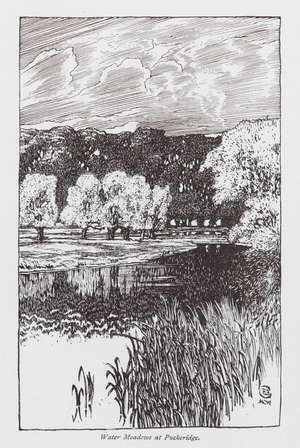 Water Meadows at Puckeridge (litho)