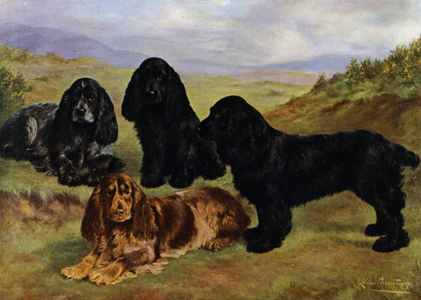 Cocker Spaniels (colour litho)