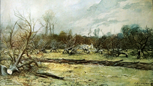 A ruined orchard in the rural areas