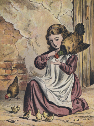 Girl feeding her pet hen (colour litho)
