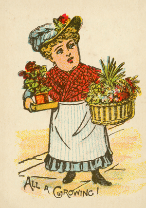 Snap cards: All a growing (colour litho)