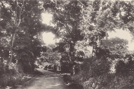 Redcoats Lane, Stevenage (b/w photo)