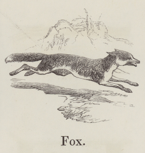 Fox (engraving)