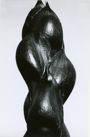 Yucca Bud, Baja, California, 1967 (silver gelatin print)