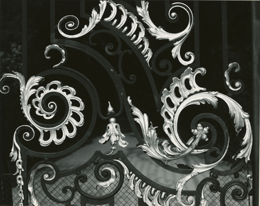 Gilded Wrought Iron, France, 1960 (silver gelatin print)