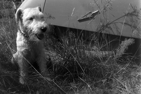 A trip to Kitzingen, Germany 1930s (b/w photo)