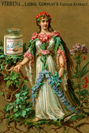 Verbena personified